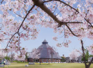 21世紀記念公園麓山の杜 約1,000m（徒歩13分）